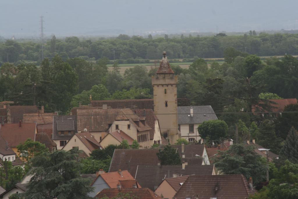 Gite Duplex Du Vignoble Alsace Руфаш Екстериор снимка